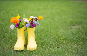 a bouquet of flowers in yellow boots on background of green grass.