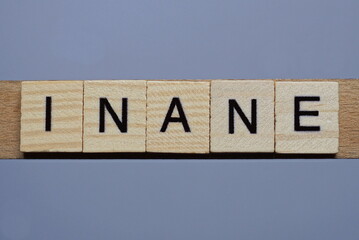 text the word inane from brown wooden small letters with black font on an gray table