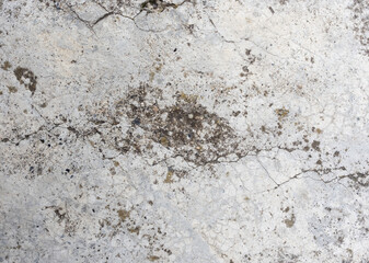 Old grey concrete wall with concrete texture for background. Front view with copy space.