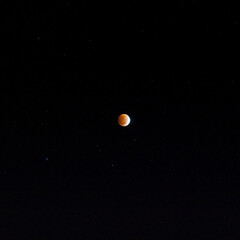 Blood Moon