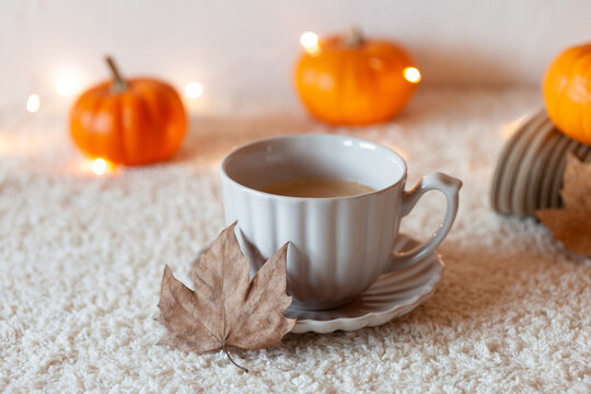 Cosy autumn composition with hot drink and mini pumpkins