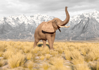 african elephant is doing a happy walk in plains and mountains