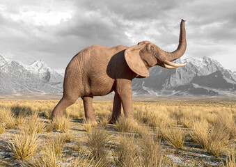 Obraz premium african elephant is walking around in plains and mountains