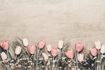 Spring greeting card, pastel color tulips on the gray background.