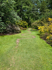 Leslie Hancock Garden at Montreal Botanical Garden showcases collections of Ericaceae, rhododendrons, azaleas and heat