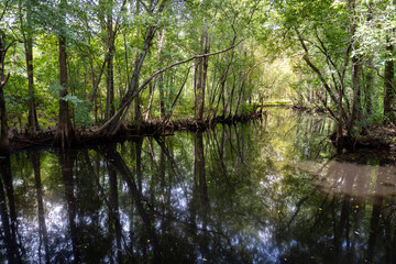 Moores Creek National Battlefield. Park commemorates American Revolutionary War patriot victory...