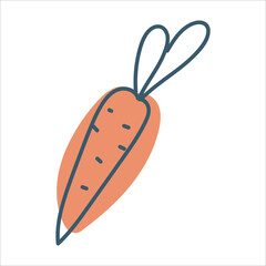 Carrot in doodle style. Ripe root crop. Autumn vegetables. Vector graphics isolated on white background.