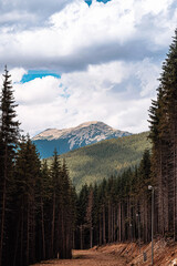Mountain range of the Ukrainian Carpathians in summer with a tonal perspective. High quality photo