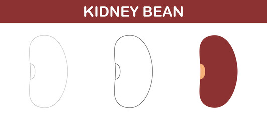 Kidney Bean tracing and coloring worksheet for kids