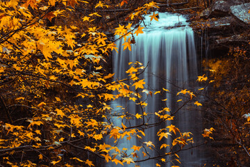 Ozark mountain waterfall flows down rocky cliff with a yellow Sweetgum leaf tree in the foreground...