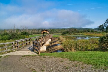 covered bridge walkway to a small pond