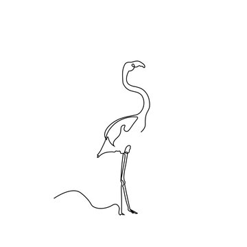recommend clip art: flamingo line art