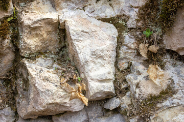 natural stone located on a mountain plateau, sights, places visited by tourists.