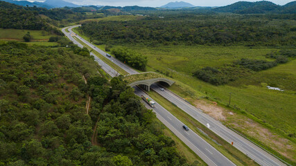 A vegetated viaduct provides passage for animals along the busy BR-101 highway, in the municipality of Casimiro de Abreu, in Rio de Janeiro.
