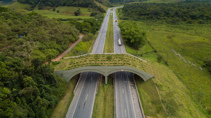 A vegetated viaduct provides passage for animals along the busy BR-101 highway, in the municipality...