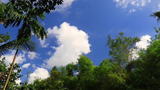 Beautiful Nature and Beautiful Sky, moving clouds