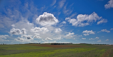 Cloudscape and fields, Queens County, Prince Edward Island, Canada