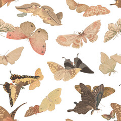 Oriental Vintage Pattern with asian traditional butterfly paintings
