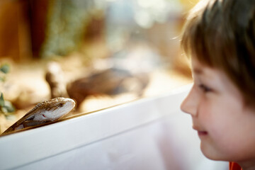 serpent clair tire la langue à un enfant