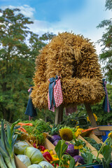 Harvest crown tied from different cereals for Thanksgiving, set up over various freshly harvested...