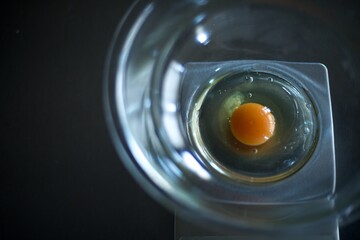 ガラスボウルに入れた生卵