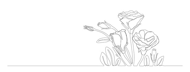 Single line eustoma flower border, graphic set flowers on a white background, vector illustration. Lisianthus