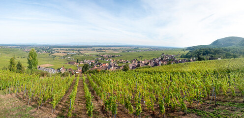 Fototapeta na wymiar scenic view to Gueberschwihr and vineyards in the Alsace region