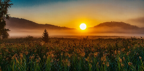 Sunrise over the lake with reeds_2