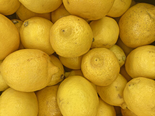 Ripe Yellow Lemons Close-up Background Or Texture. Lemon Harvest, Many Yellow Lemons.