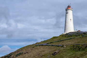 Reykjanes Lighthouse on a tall hill surrounded by lupine in Keflavík, Iceland