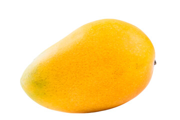 The king of fruits is mango