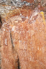 Aboriginal rock art: X-ray saratoga fishes-humanoid figures-Barrkinj ancestral being in Anbangbang...