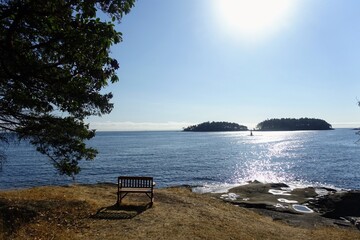 A wooden bench at peaceful lookout area, surrounded by beautiful trees and dry yellow grass, with the ocean in the background, in the gulf islands, british columbia, canada