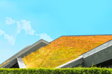 Environmentally friendly roof in a residential area, natural green hedge. Modern eco-friendly house, green roof - 533051639
