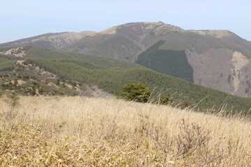Mountain path