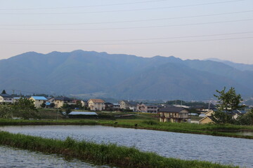 Rice fields in a small mountain town