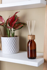 Aromatic reed air freshener near houseplant on wooden shelf