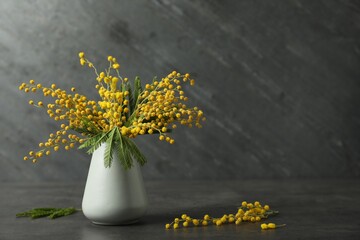 Bouquet of beautiful mimosa flowers on black background