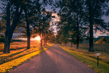 New Paltz, NY - USA - Sept. 22, 2022 Horizontal sunset view of the historic Testimonial Gateway Trailhead’s tree-lined Pin Oak Allee, with the Shawangunk Ridge in the distance.