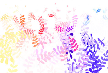 Fototapeta na wymiar Light Multicolor vector elegant pattern with leaves.