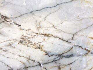 Fototapeta premium Marble Tiles texture wall marble background