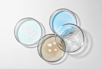 Petri dishes with color liquids on white background, flat lay