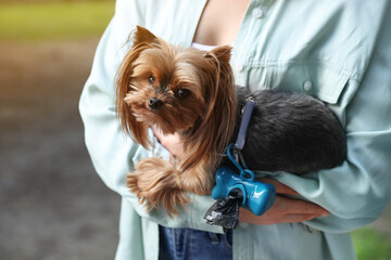 Woman holding her cute dog with waste bags in park, closeup