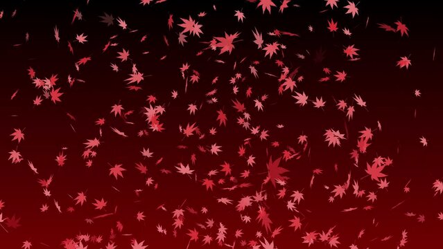 紅葉 舞い上がる 落ち葉 もみじ・カエデ 【背景 グラデーション 黒赤】