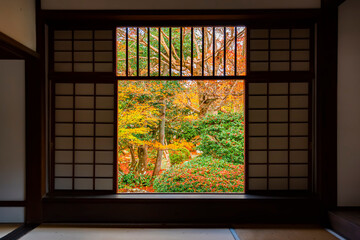 Scenic colorful maple trees in the garden of Kyoto temple in autumn, Kyoto, Japan