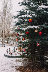 Christmas tree in the snow