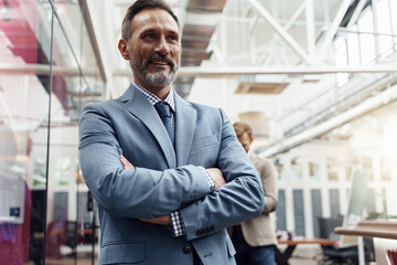 Portrait of mature businessman standing in modern office on colleagues background