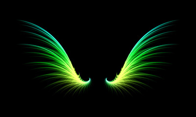 two green blue gradation wings