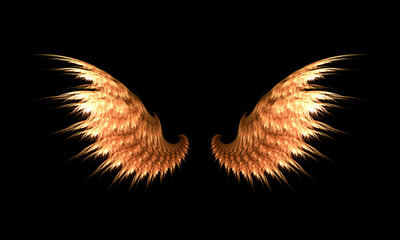picture of two brown wings