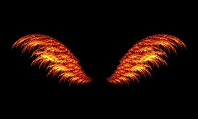 picture of two burning orange wings
